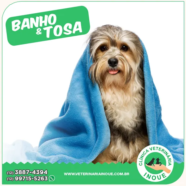 Cachorro enrolado em toalha azul após o banho na Clínica Inoue