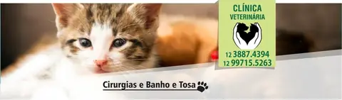 Cirurgias, banho e tosa na Clínica Veterinária Inoue
