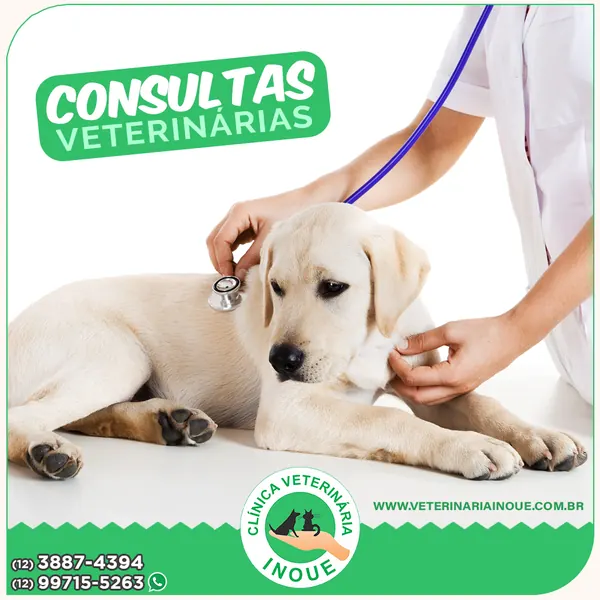 Filhote de labrador em consulta veterinária na Clínica Inoue