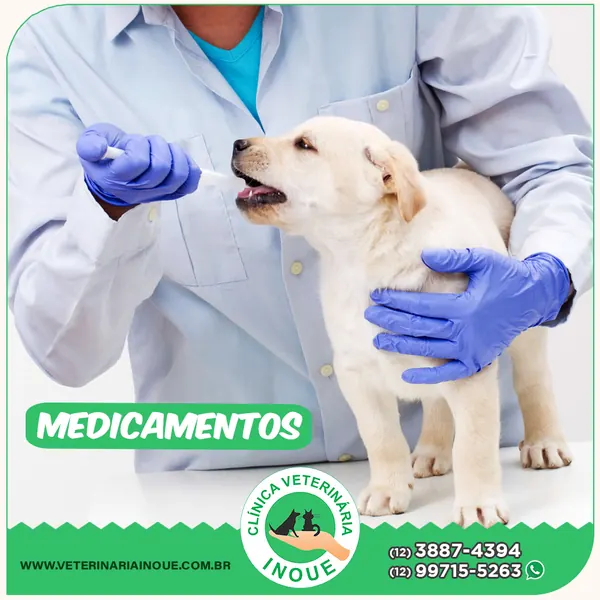 Veterinária aplicando medicamento em filhote na Clínica Inoue